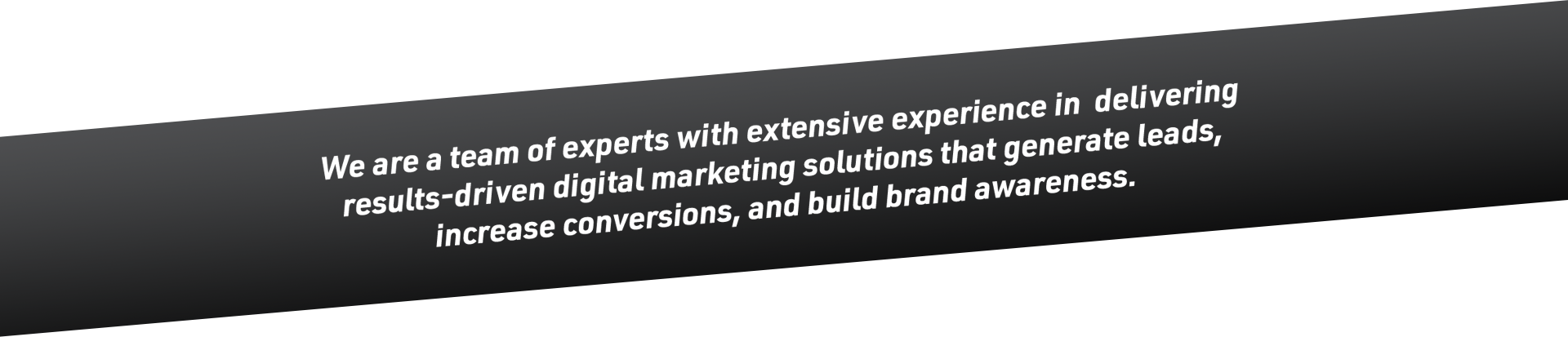 We are a team of experts with extensive experience in delivering result driven digital marketing solutions that generate leads, increase conversions, and build brand awerness/